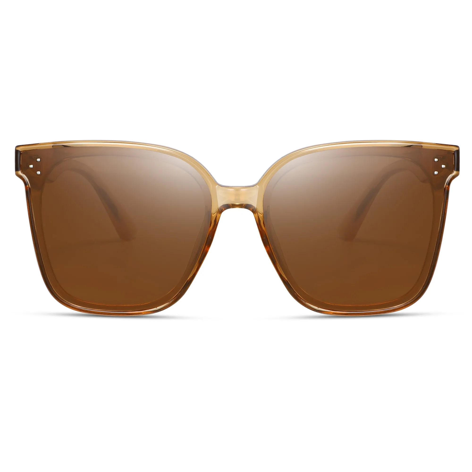 Magnetic Sunglasses 1055