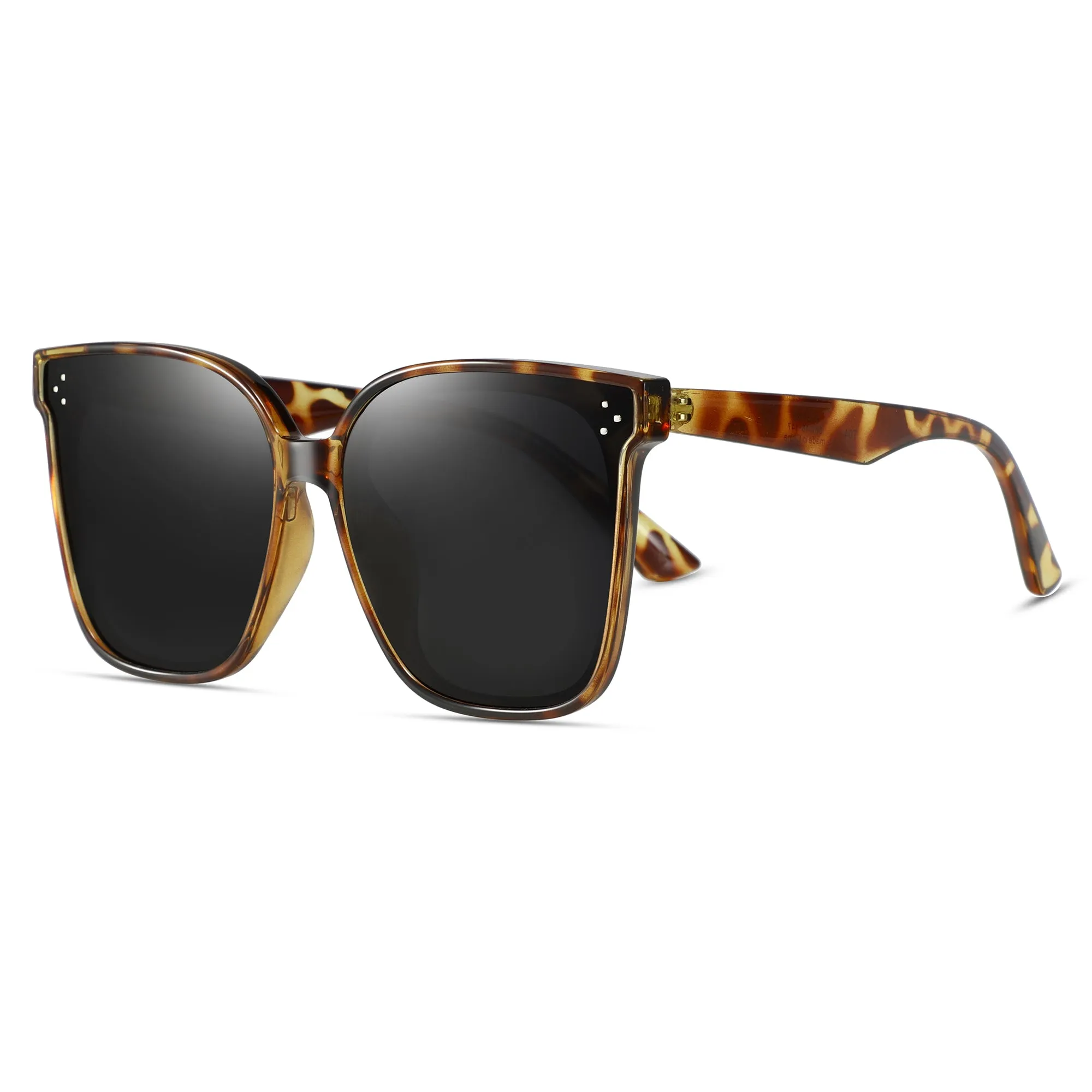 Magnetic Sunglasses 1055