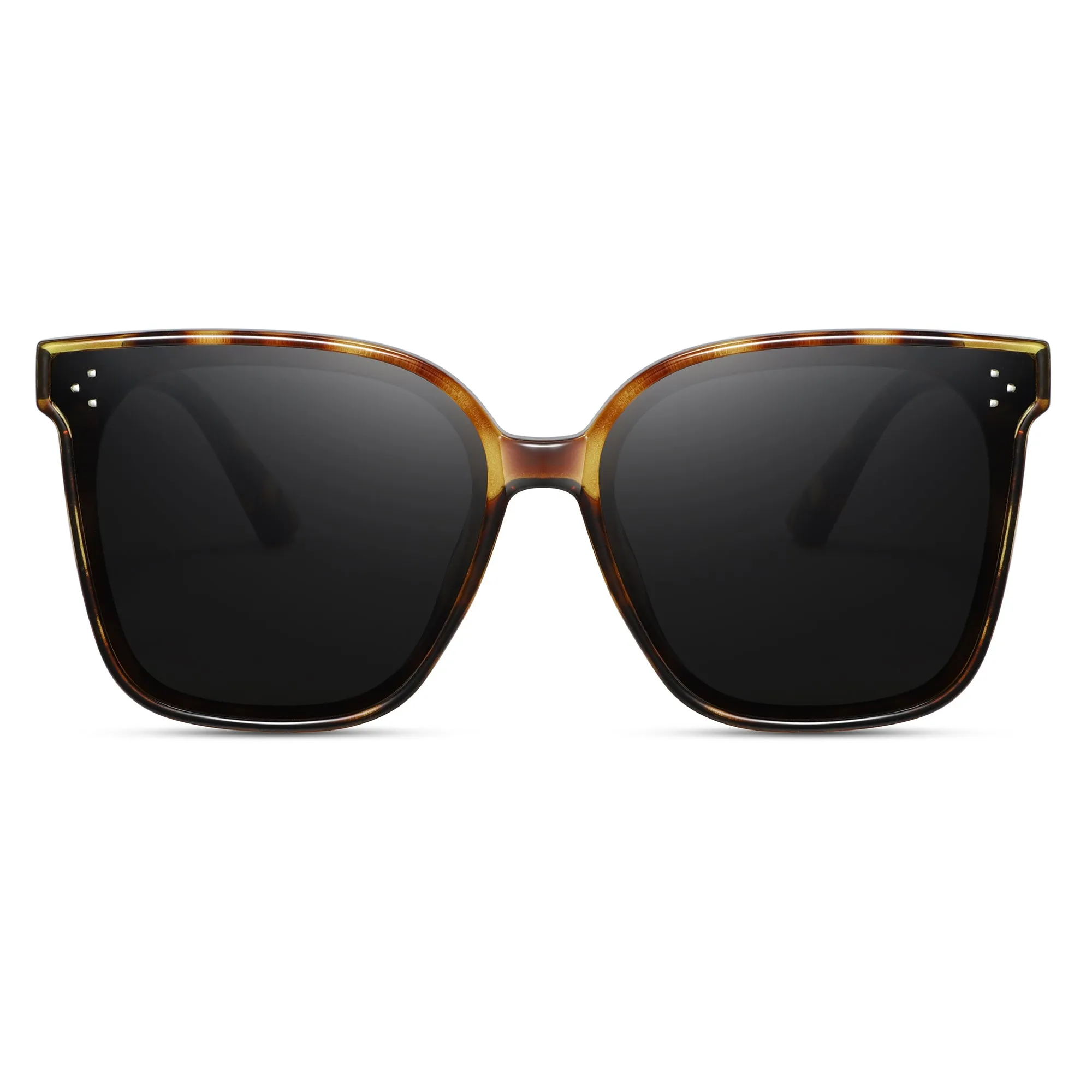 Magnetic Sunglasses 1055