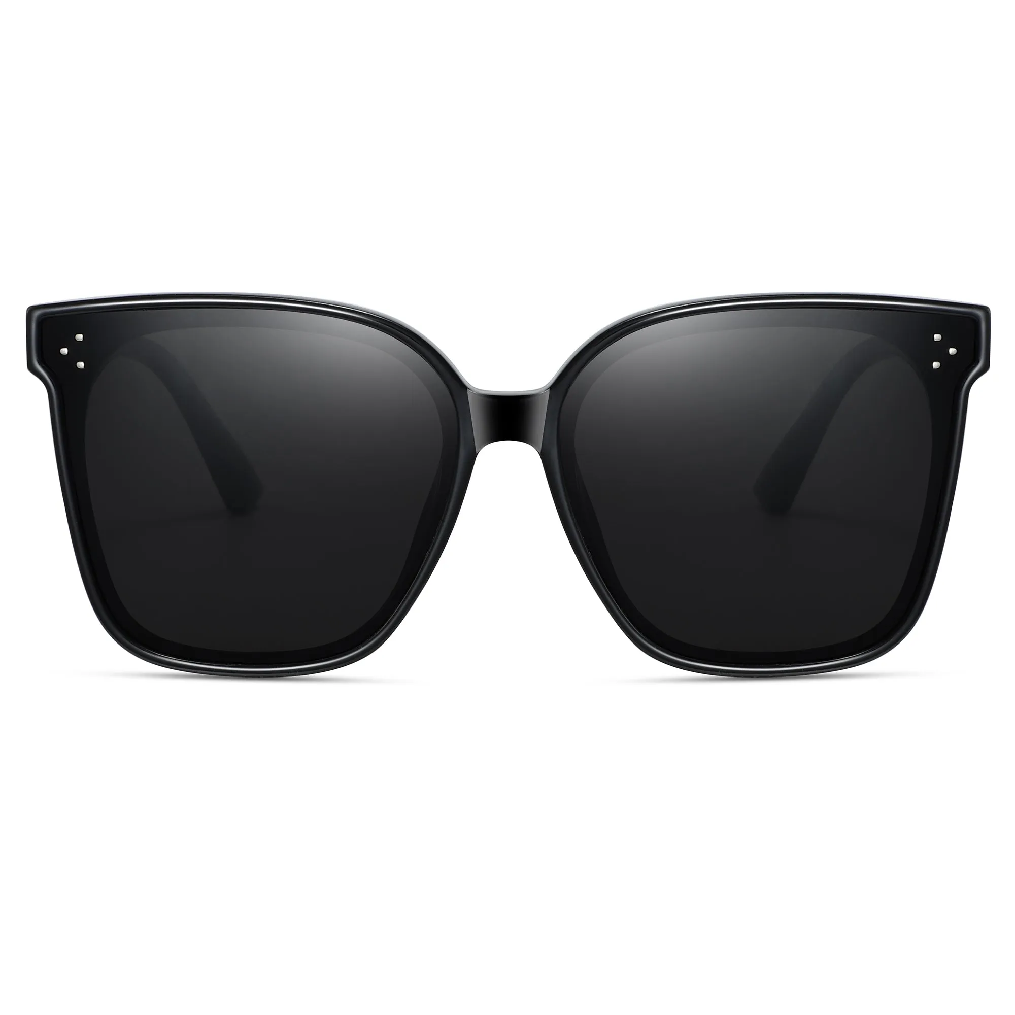 Magnetic Sunglasses 1055
